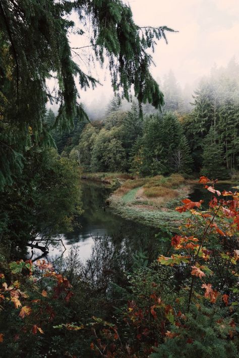 nature scene // forest // nature // aesthetic // wilderness // photography // landscape Theme Nature, Landscape Photography Tips, Into The Wild, Into The Woods, Nature Aesthetic, Nature Landscape, Pretty Places, Nature Travel, Beautiful Photography