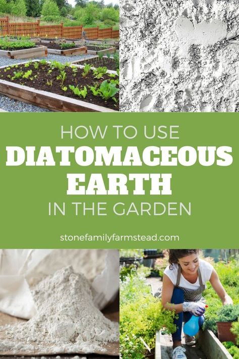 Diatomaceous Earth Benefits, Home Pest Control, Diatomaceous Earth Food Grade, Pest Control Plants, Organic Gardening Pest Control, Natural Pesticides, Organic Pesticide, Diy Pest Control, Organic Pest Control