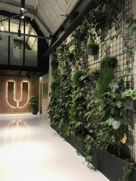 Urban Cafe Interior, Urban Restaurant Design, Gym With Plants, Gym Plants Interior, Greenery Wall Restaurant, Green Wall Design Interior Restaurant, Plant Ceiling Decor Restaurant, La Mecca, Gym Design Interior