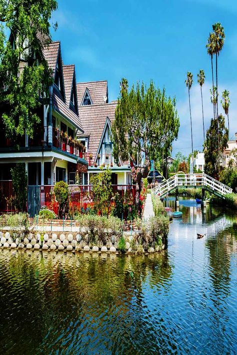 Spare a short while to tour the Venice Canals. The geese and ducks offers a break from the hustle of city life. Los Angeles California Photography, Venice Attractions, Venice Beach Los Angeles, Venice California, Italy Venice, Venice Canals, Comparison Chart, California Photography, California Dreamin'