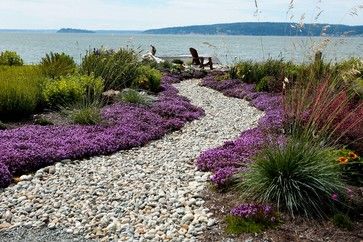 Beach side garden. - modern - Landscape - Seattle - Dan Nelson, Designs Northwest Architects Miscanthus Gracillimus, Miscanthus Sinensis Gracillimus, Blue Oat Grass, Replace Lawn, Thymus Serpyllum, California Lilac, Seaside Garden, Garden Vines, Coastal Gardens