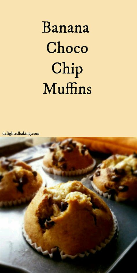 Banana Choco Chip Muffins: An easy recipe to try. Banana and choco chips,  together tastes good. Do try this recipe. Eggless Banana Muffins. Eggless Banana Choco Chip Muffins. Quick Banana Muffins, Choco Chip Muffins, Eggless Banana Muffins, Eggless Recipes, Eggless Baking, Banana Chocolate Chip Muffins, Choco Chips, Banana Chocolate, Banana Chocolate Chip