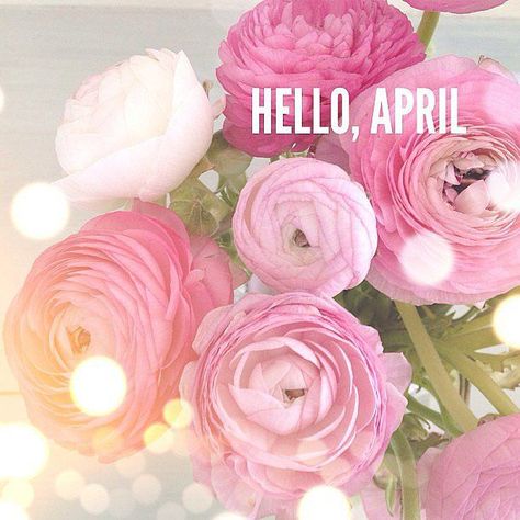 April Images, Neuer Monat, April Quotes, Quotes Pink, Hello April, Days And Months, Spring Shower, Calendar Girls, Spring Wallpaper