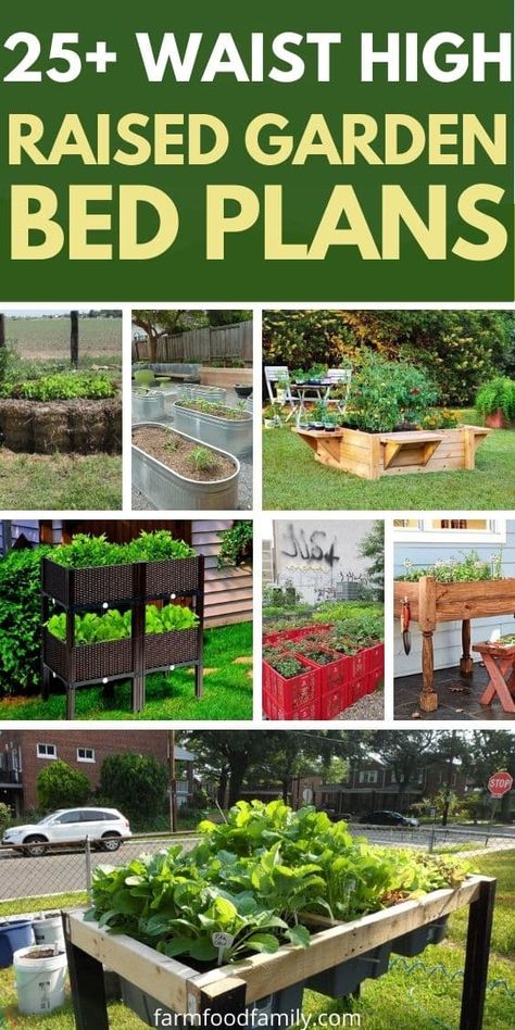 25+ Easy & Inexpensive Waist High Raised Garden Bed Ideas & Plans High Raised Garden Beds, Inexpensive Raised Garden Beds, Garden Bed Plans, Watering Raised Garden Beds, Raised Garden Bed Ideas, Garden Bed Ideas, Keyhole Garden, Metal Garden Beds, Raised Garden Bed Plans