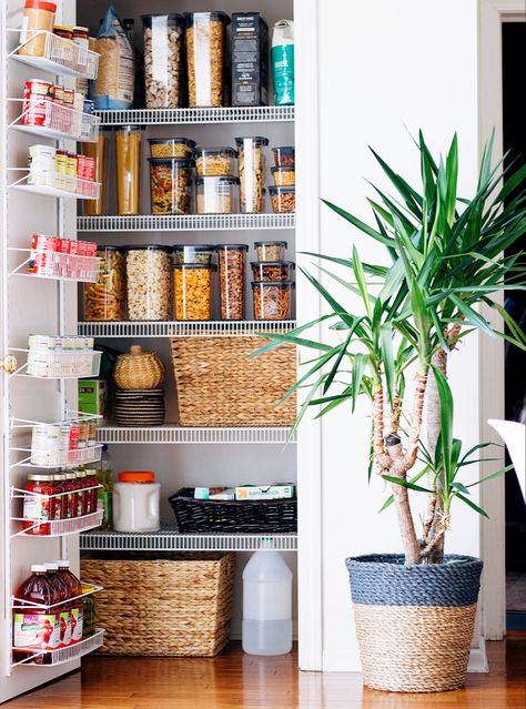 Rubbermaid Brilliance, Organizing Your Pantry, Tiny Pantry, Organize Your Pantry, Diy Wrapping Paper, Pantry Containers, Tips For Organizing, Extra Shelf, Wax Art