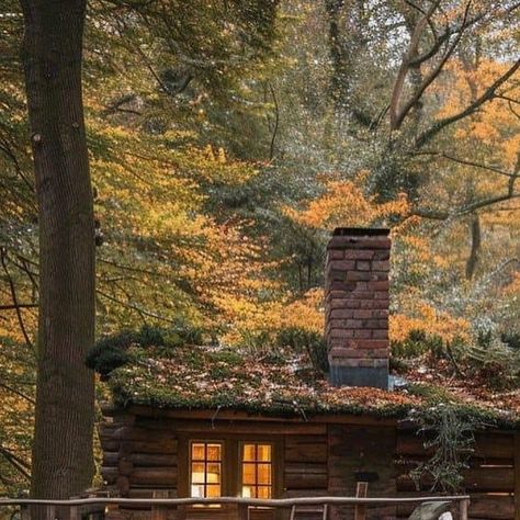 Off Grid Cabins on Instagram: "Looks wonderful! 😍" Off The Grid Aesthetic, Off Grid Cabin, Off Grid, Off The Grid, Wonder, Architecture, Collage, On Instagram, Pins