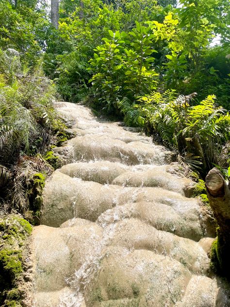 A must see when in Chiang Mai, Thailand Chiang Mai Thailand Aesthetic, Sticky Waterfall Chiang Mai, Thailand Off The Beaten Path, Chiang Mai Temples, Chiang Mai Hiking, Hidden Places, Chiang Mai, Travel Tips, Thailand