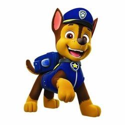 Chase/Gallery | PAW Patrol Wiki | Fandom Paw Patrol Png, Baby Walrus, Dog Tracker, Paw Patrol Cartoon, Rubble Paw Patrol, Paw Patrol Chase, Police Chase, Baby Dolphins, Baby Octopus