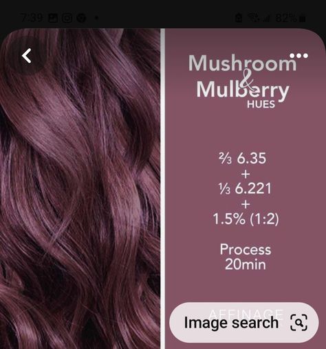 Mulberry Hair Color, Mulberry Hair, Hair Dos, Hairstyle Ideas, Stuffed Mushrooms, Hair Color, Hair Styles, Hair, Color