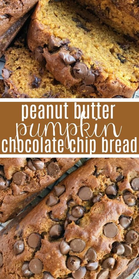 Peanut Butter Pumpkin Chocolate Chip Bread | Pumpkin Bread Recipe | Pumpkin | Peanut butter pumpkin chocolate chip bread is like traditional pumpkin bread but with a peanut butter twist, and dotted with milk chocolate chips. Soft, moist, flavorful, and so delicious! #pumpkin #pumpkinrecipes #chocolate #fallrecipes #bread #pumpkinspice #recipeoftheday Banana Chocolate Chip Bread, Pumpkin Peanut Butter, Bread Pumpkin, Healthy Pumpkin Bread, Dessert Breads, Peanut Butter Bread, Chocolate Chip Bread, Pumpkin Chocolate Chip Bread, Peanut Butter Pumpkin