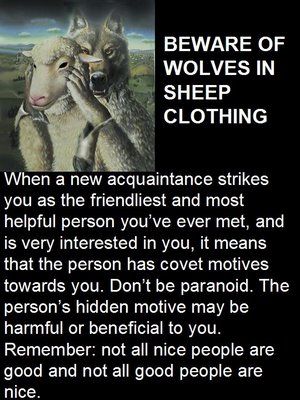 Wolves in Sheeps Clothing - oh how true this turned out to be. Me Minding My Own Business Quotes, Wolves In Sheeps Clothing Quotes, Wolves In Sheeps Clothing, Sheep In Wolves Clothing, Clothing Quotes, Wolf Clothing, Manipulative People, Minding My Own Business, Sheep Clothing