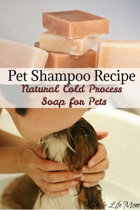 Healthy Shampoo, Dog Shampoo Bar, Essential Oils Dogs, Dog Soap, Lye Soap, Săpunuri Handmade, Cold Process Soap Recipes, Shampoo Recipe, Soap Making Recipes