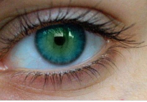 Green Affirmations, Indigo Eyes, Change Your Eye Color, Teal Eyes, Hazel Eye Makeup, Beautiful Eyes Color, Bright Eye Makeup, Blue Green Eyes, Eyeshadow For Brown Eyes