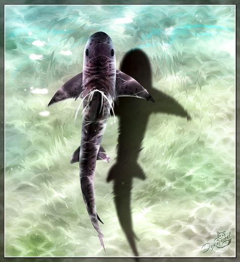 The effect of light hitting water is a tough one to recreate, but I will always try because it is really pretty. Here is a baby tiger shark painted in Photoshop. 🥰 #tigershark #digitalpainting #tigersharkpup Tiger Shark Photography, Baby Tiger Shark, Shark Photography, Shark Painting, Tiger Shark, Baby Tiger, Digital Painting, Photoshop, Water