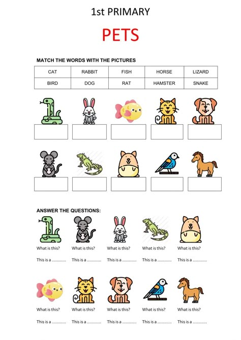 Primary One English Worksheet, Primary 1 English Worksheet, Animal English Worksheet, My Pets Worksheets For Kids, Pet Animals Worksheets For Kids, Pets Worksheets Preschool, Animals Worksheet For Grade 1, Pet Animals Worksheet, Pets Activities For Kids