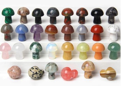 5Pcs/Set Mushroom Stone Carved Natural Quartzs Crystal Healing Reiki Decoration Craft Home Decor Room Ornament Wholesale 15*20mm Mushroom Plant, Mini Mushroom, Diy Jewelry Gifts, Diy Gemstone, Diy Schmuck, Diy Materials, Stone Carving, Crystals And Gemstones, Loose Beads