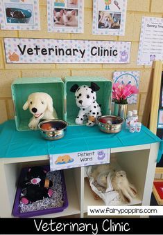 Kids Vet Clinic, Vet Clinic Dramatic Play, Clinic Dramatic Play, Preschool Dramatic Play, Fairy Poppins, Dramatic Play Themes, Dramatic Play Center, Pet Crafts, Pets Preschool Theme