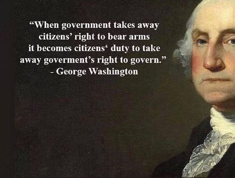 George Washington Wig, George Washington Facts, Founding Fathers Quotes, George Washington Quotes, Right To Bear Arms, Bear Arms, Historical Quotes, Father Quotes, American Patriot