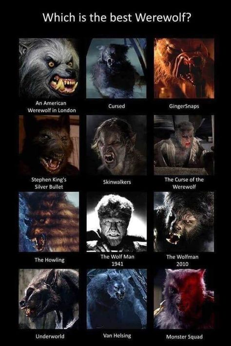 Underworld Werewolf, Werewolf Stories, Werewolf Aesthetic, The Legend Of Sleepy Hollow, Myths & Monsters, Whatsapp Marketing, American Werewolf In London, Monster Squad, Time Of The Month