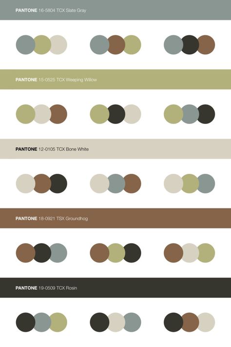 Pantone Neutral Color Scheme Combinations • Download Free Adobe Illustrator Palette in .ase • #pantone #pantonecolors #pantonecolours #colorcombos #pantone2020colortrend #colorswatches #colourswatches #colorscheme #colourscheme #colorpalette #colourpalette #colorcombinations #colorcombinations #fallcolor #fallcolours #autumncolorpalette #autumncolourpalette #colorswatchcombination Monotone Color Palette, Pantone Rgb, Pantone Brown, Outfit Colour Combinations, Autumn Color Scheme, Wardrobe Palette, Pantone Black, Neutral Autumn, Color Branding