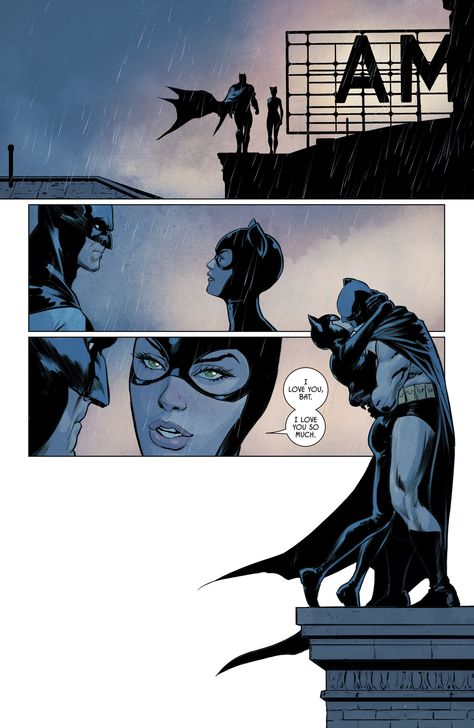 Catwoman And Batman, Catwoman Comic, Catwoman Selina Kyle, Batman Artwork, Batman And Catwoman, Batman Family, Batman Art, The Dark Knight, Detective Comics