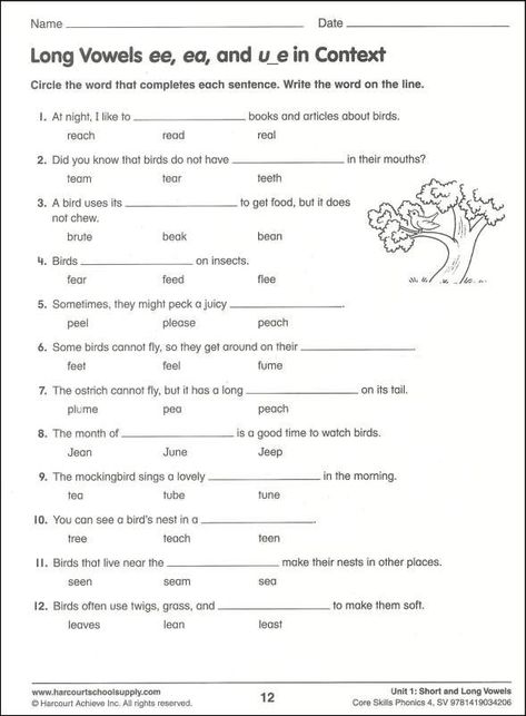 5th Grade Spelling, 4th Grade Reading Worksheets, Short Vowel Worksheets, 5th Grade Worksheets, Phonics Worksheets Free, Ela Worksheets, Vowel Worksheets, Spelling Worksheets, Grade Spelling