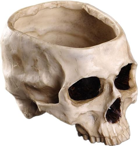 Amazon.com: IBWell Modern Large Funny Resin Skull Shaped Head Design Flower Pot Planter Container, Decoration Flowerpot Props Home Office Desk Decor (Classic) : Patio, Lawn & Garden Container Decoration, Home Office Desk Decor, Halloween Candy Bowl, Skull Planter, Skull Model, Real Skull, Office Table Desk, Resin Skull, Herb Containers