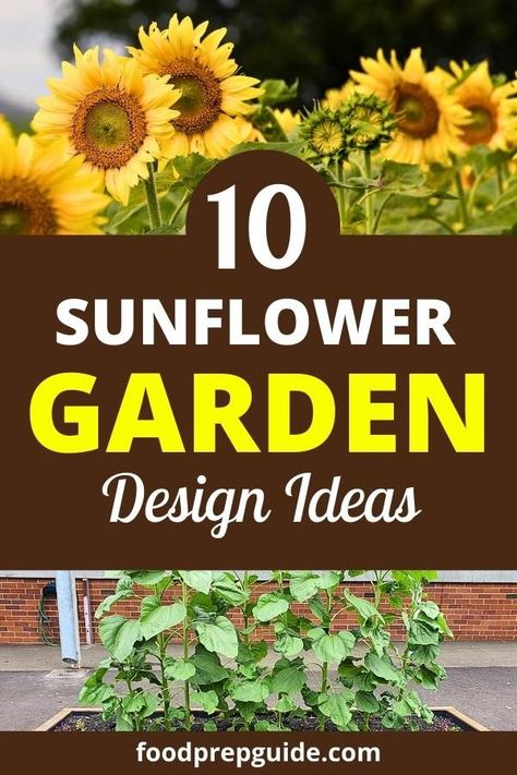 Infuse your garden with sunshine and joy! Explore innovative concepts like sunflower-covered arches and whimsical pathways." Sunflower Trellis Ideas, Small Sunflower Garden Ideas, Sunflower Backyard Ideas, Sunflower Beds Garden, Sunflower Garden Design, Sunflower Room Garden, Sunflower Circle Garden, Sunflower Garden Backyard, Sunflowers Backyard