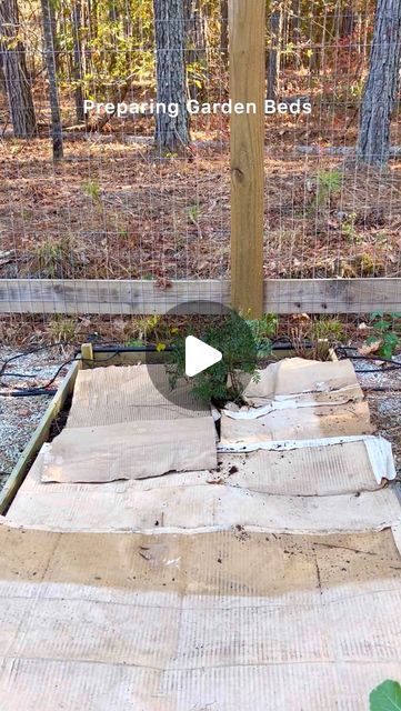 Jil Hinds on Instagram: "Time for transformation.  Spring is the season of HOPE and NEW BEGINNINGS. 
👉🏽Save and Share this post!

Soil health is key to your garden success.  To prepare garden beds, I like to reuse and repurpose cardboard whenever and wherever I can.  Cardboard is also great for suppressing and killing weeds.  I use it between crops to allow the soil in the garden bed to rest while killing off the weeds.  Be sure not to use cardboard with toxic ink or other materials.

♻️ Process:
1. Clear old plants from garden bed
2. Cover bed with cardboard
3. Wet the cardboard
4. Leave cardboard in place 2-4 weeks or through the winter if you are not planting until spring.
5. Add rich nutrients back into the soil (compost, worm castings and fertilizer).

✨Save this video and send to a Preparing Garden Beds, Killing Weeds, Worm Castings, Cover Bed, Instagram Time, Soil Health, Garden Bed, Bed 2, Garden Beds