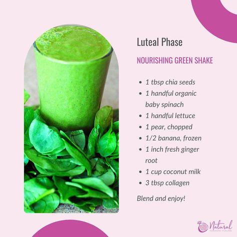 Warming Foods, Ovulatory Phase, Hormone Balancing Smoothie, Hormone Balancing Recipes, Hormone Nutrition, Cycling Food, Menstrual Phase, Follicular Phase, Green Shakes