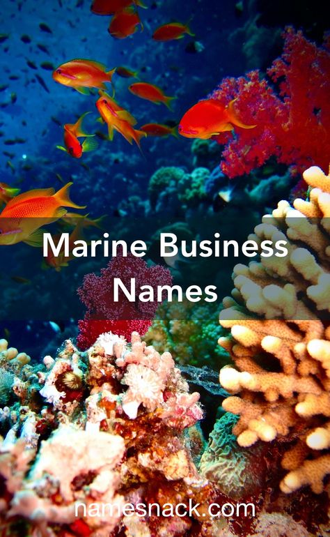 20 refreshing name ideas for your marine business. Names For Companies, Yin Yang Images, Nautical Logo, Marines Logo, Fish Icon, Sea Green Color, Restaurant Names, Beach Cafe, Beautiful Logos