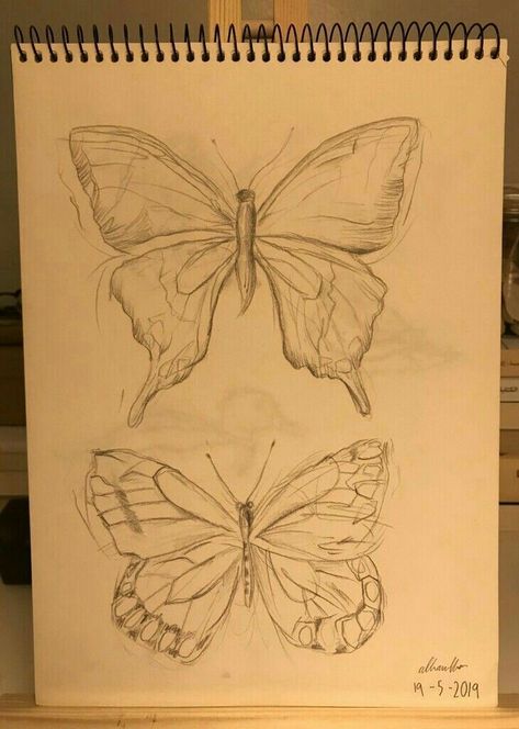 Baterfly Drawings, Asethic Drawing Ideas Cute, Stech Book Drawing Ideas, Asethic Paintings Ideas, Butterfly Drawing Reference, Big Butterfly Drawing, Asethic Drawing Ideas, Asethic Art, Butterfly Draw