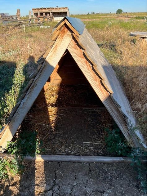 Simple A-frame shelter Diy Outdoor Animal Shelter, Temporary Goat Shelter, Goat Shelter Ideas Winter, Easy Goat Shelter, Goat Houses Shelters, Diy Goat Shelter, Chicken Playground, Sheep Shelter, Witchy Ideas