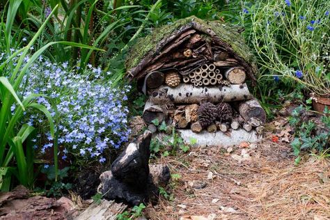 Wildlife Garden Design, Bug Hotels, Garden Creatures, Late Summer Flowers, Bug Hotel, Insect Hotel, Wildlife Garden, Jungle Fever, Sensory Garden