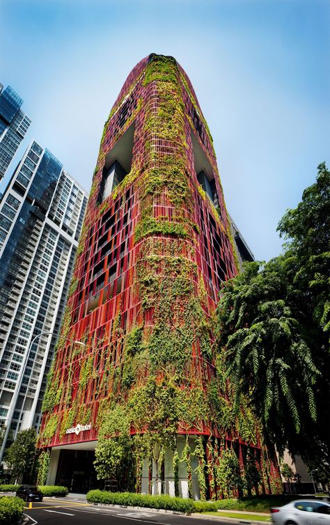 The £76 million building has flowers to attract insects and climbers for squirrels and lizards Woha Architecture, Singapore Architecture, Brick Patterns Patio, Green Facade, Meteor Garden 2018, Magic Garden, Green Architecture, Hells Kitchen, Garden Route