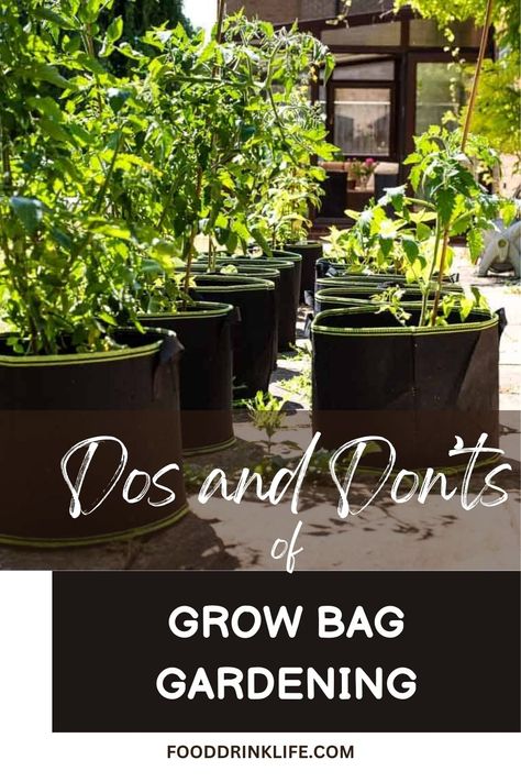 Mastering Grow Bag Gardening: Essential Tips for Urban Gardeners Planting In Grow Bags, Grow Bags Gardening Vegetables, Grow Bag Garden Design, Grow Bags Gardening Ideas, Grow Bag Garden, Fabric Grow Bags, Garden Bags, Garden Solutions, Dos And Don'ts