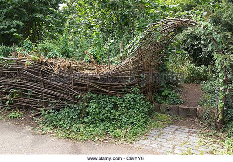 Willow Hedge Fence, Nature Fence, Organic Fence, Willow Hedge, Forest Fence, Natural Fencing, Stick Fence, Branch Fence, Willow Fencing