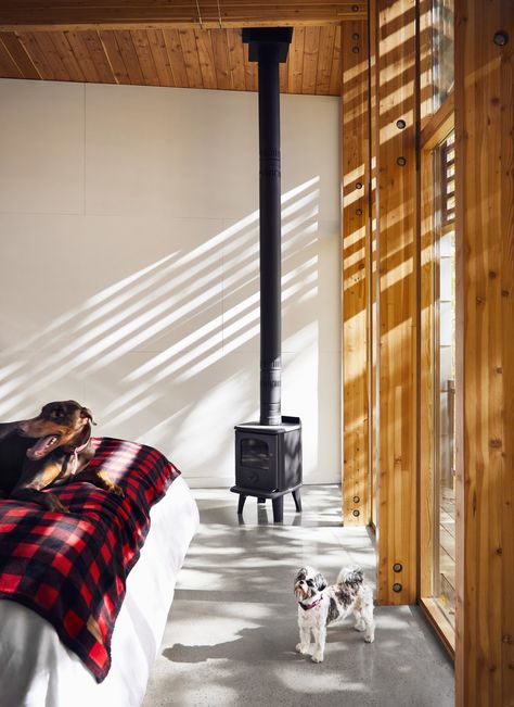 Bedroom, Concrete Floor, and Bed The master suite is warmed by a Badger 3112 woodstove by Morsø. Photo 7 of 16 in A Curved House in Ontario Bends 100 Degrees For Forest Views Bedroom Concrete Floor, Curved House, Wood Art Diy, Cabin Tiny House, Charleston Homes, Forest View, Southern Homes, Modern Cabin, Southern Home