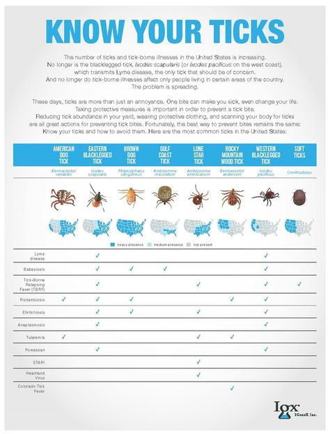 Tick Tubes, Wood Tick, Types Of Ticks, Deer Ticks, Tick Bite, American Dog, Brown Dog, Hacks Diy, Ticks