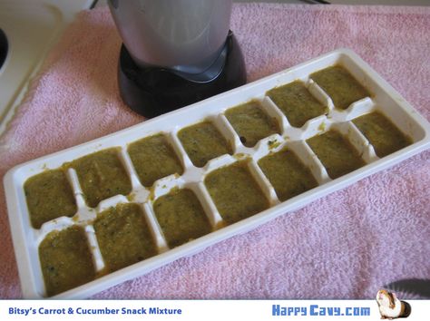 DIY Guinea Pig Snack: Frozen Veggie Cubes | The Guinea Pig Blog - Happy Cavy Guinea Pig Snacks, Guinnea Pig, Pig Ideas, Guinea Pig Diy, Pig Stuff, Guinea Pig Bedding, Pet Guinea Pigs, Guinea Pig Toys, Guinea Pig Care