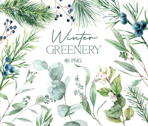 Winter greenery watercolor clipart, eucalyptus clip art, green leaves, commercial use, botanical wedding invitation, winter foliage Greenery Clipart, Botanical Wedding Invitation, Winter Foliage, Winter Greenery, Watercolor Greenery, Botanical Wedding Invitations, Winter Wedding Invitations, Diy Watercolor Painting, Diy Watercolor