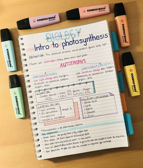 Photosynthesis revision Aesthetic Photosynthesis Notes, Photosynthesis Revision Notes, Biology Notes Aesthetic Photosynthesis, How To Set Out Revision Notes, Aesthetic Notes Inspo Biology, Revision Set Up, Photosynthesis Notes Biology, Photosynthesis Notes Aesthetic, Biology Photosynthesis Notes