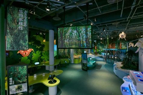 Plant Exhibition, Art Science Museum, Natural Science Museum, Science Gallery, Follow The Yellow Brick Road, Exhibition Ideas, Trade Show Design, The Yellow Brick Road, Museum Interior