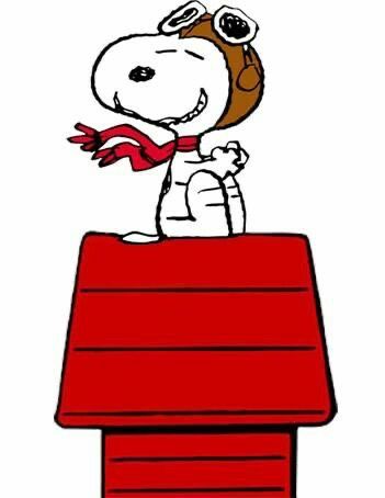 Cartoons 50s, Red Baron Snoopy, Goodnight Snoopy, Snoopy Tattoo, Snoopy Dog House, Garfield Cartoon, Snoopy Birthday, Woodstock Snoopy, Snoopy Comics