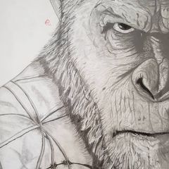 patrick (@drawing_pencil_lover) • Instagram photos and videos Patrick Drawing, Love Drawing, Planet Of The Apes, Love Drawings, Animal Drawings, Drawing Ideas, Pencil Drawings, Art Ideas, Sketch Book