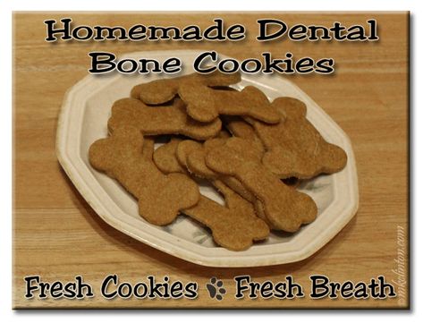 Homemade dental bone cookies on a plate. Fresh Cookies ~ Fresh Breath #recipe Dog Teeth Cleaning Treats, Cookies On A Plate, Bone Cookies, Dog Dental Treats, Dog Dental Chews, Dental Health Care, Healthy Dog Treats Homemade, Valentine Diy, Dental Treats