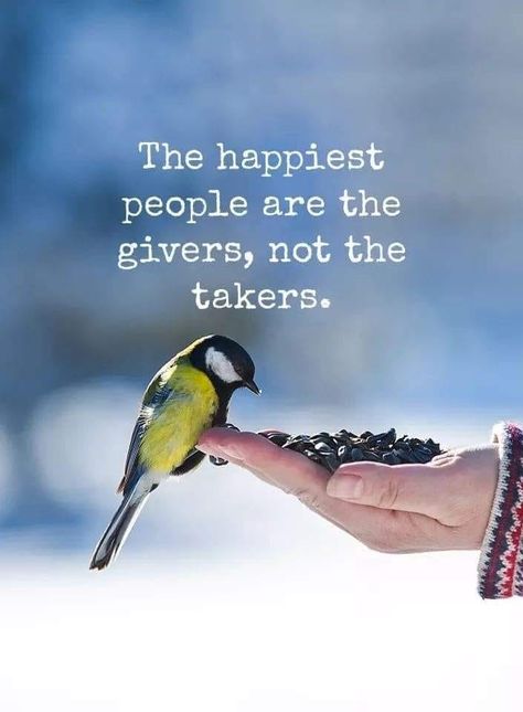 Happy Qouts, Live A Happy Life, Service Quotes, Teamwork Quotes, Bird Quotes, Inspirational Quotes Wallpapers, Great Inspirational Quotes, Feel Good Quotes, Interesting Quotes