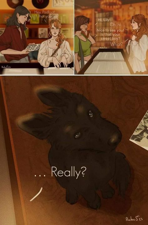 Lils and Siri <3 The Marauders Fan Art, Remus And Lily, Marauders Fan Art, Gay Harry Potter, Harry Potter Feels, Harry Potter Artwork, Harry Potter Comics, Harry Potter Ships, Harry Potter Tumblr