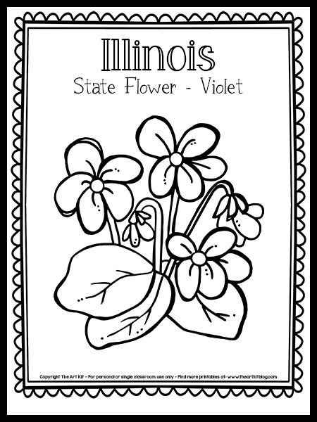 Illinois State Flower (Violet) Coloring Page {FREE Printable!} - The Art Kit March Themes, The 50 States, Flower Symbol, Wisconsin State, Illinois State, Flower Printable, Flower Coloring Pages, Violet Flower, Calming Colors