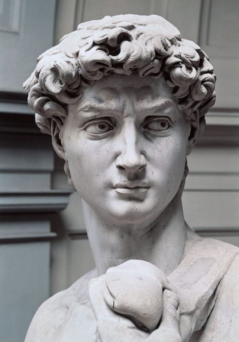 Have a Stendhal Syndrome moment (or a few) with this complete guide to museums and monuments in Florence. Michelangelo Sculpture, Ancient Greek Sculpture, Istoria Artei, Roman Statue, Classic Sculpture, Antique Sculpture, Greek Statues, Roman Sculpture, Greek Sculpture